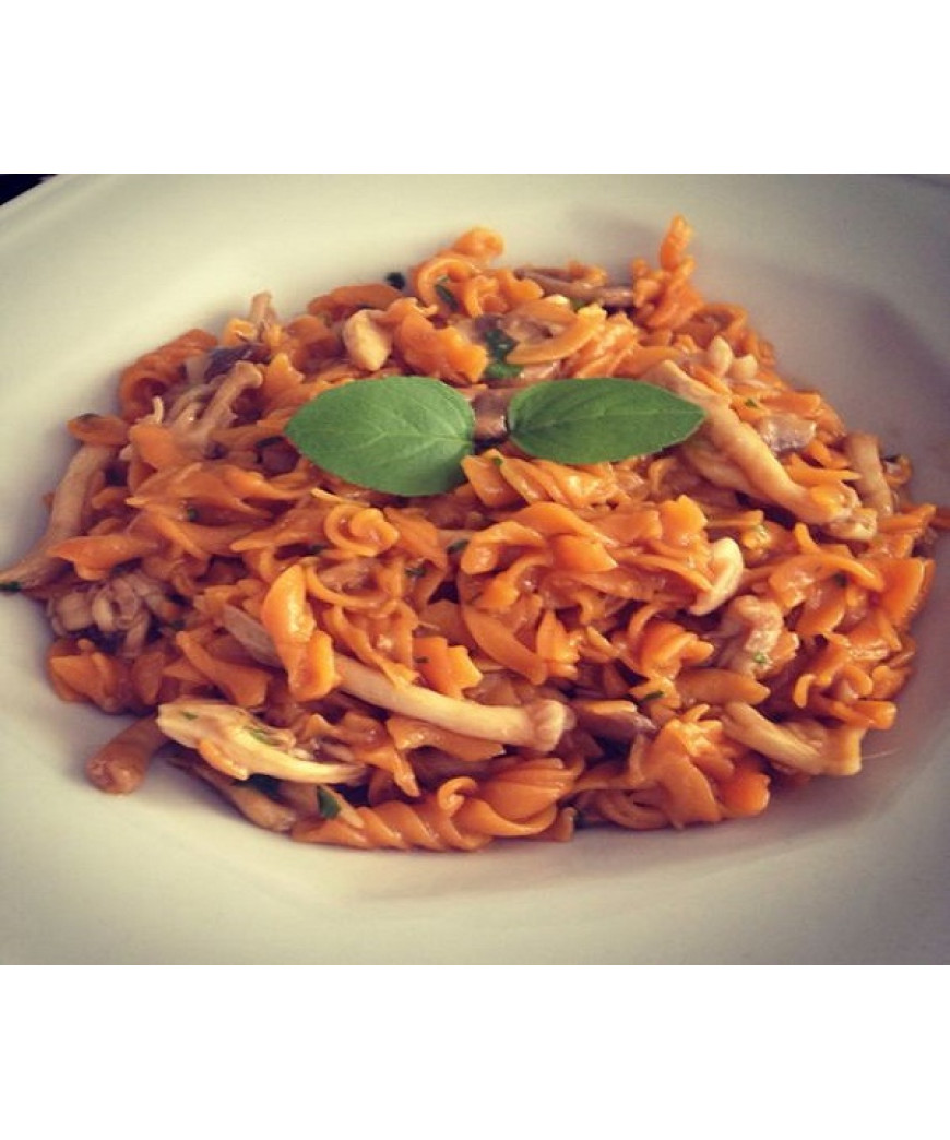 Fusilli ao molho de tomate